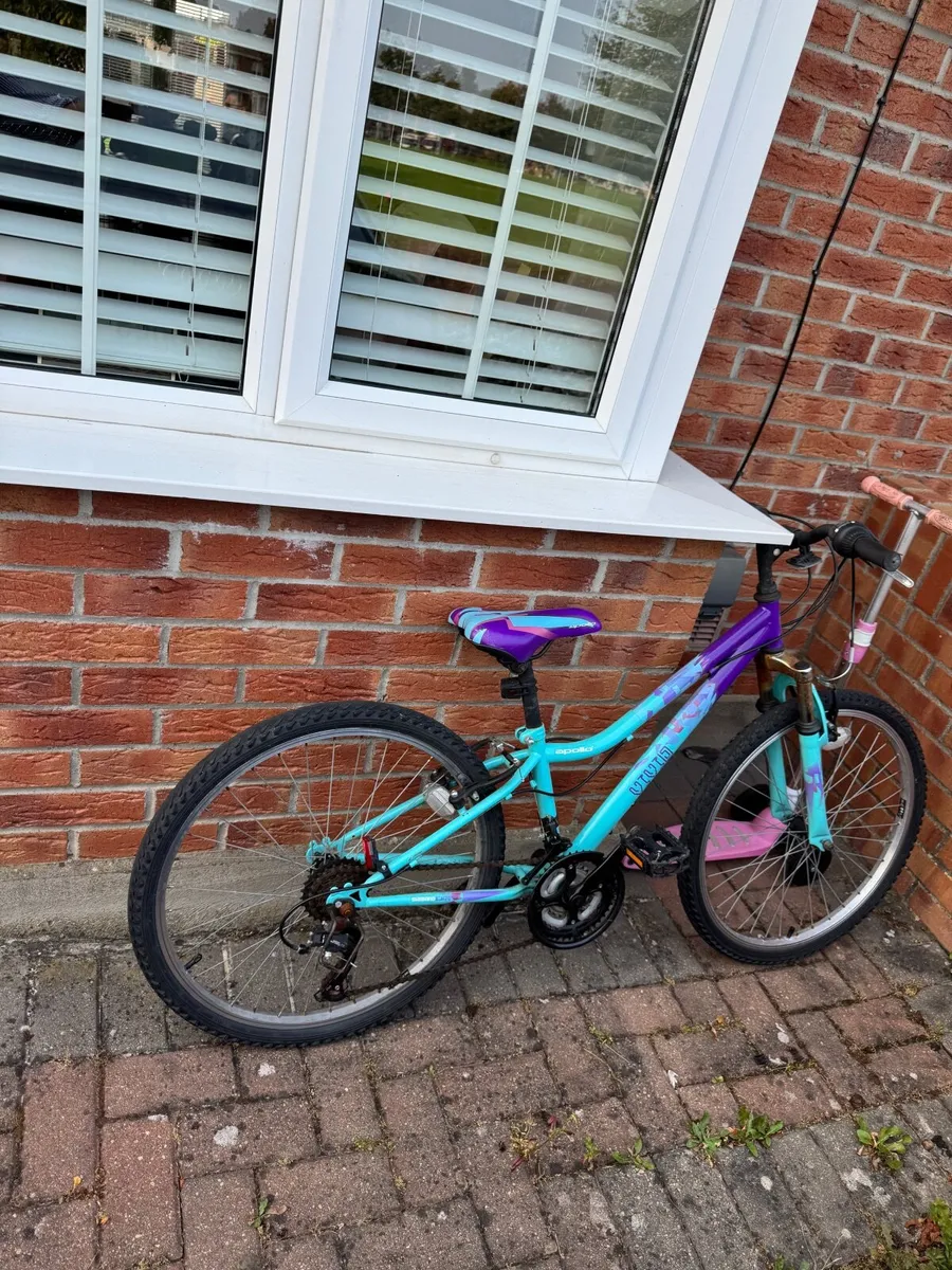 Bike - Image 1