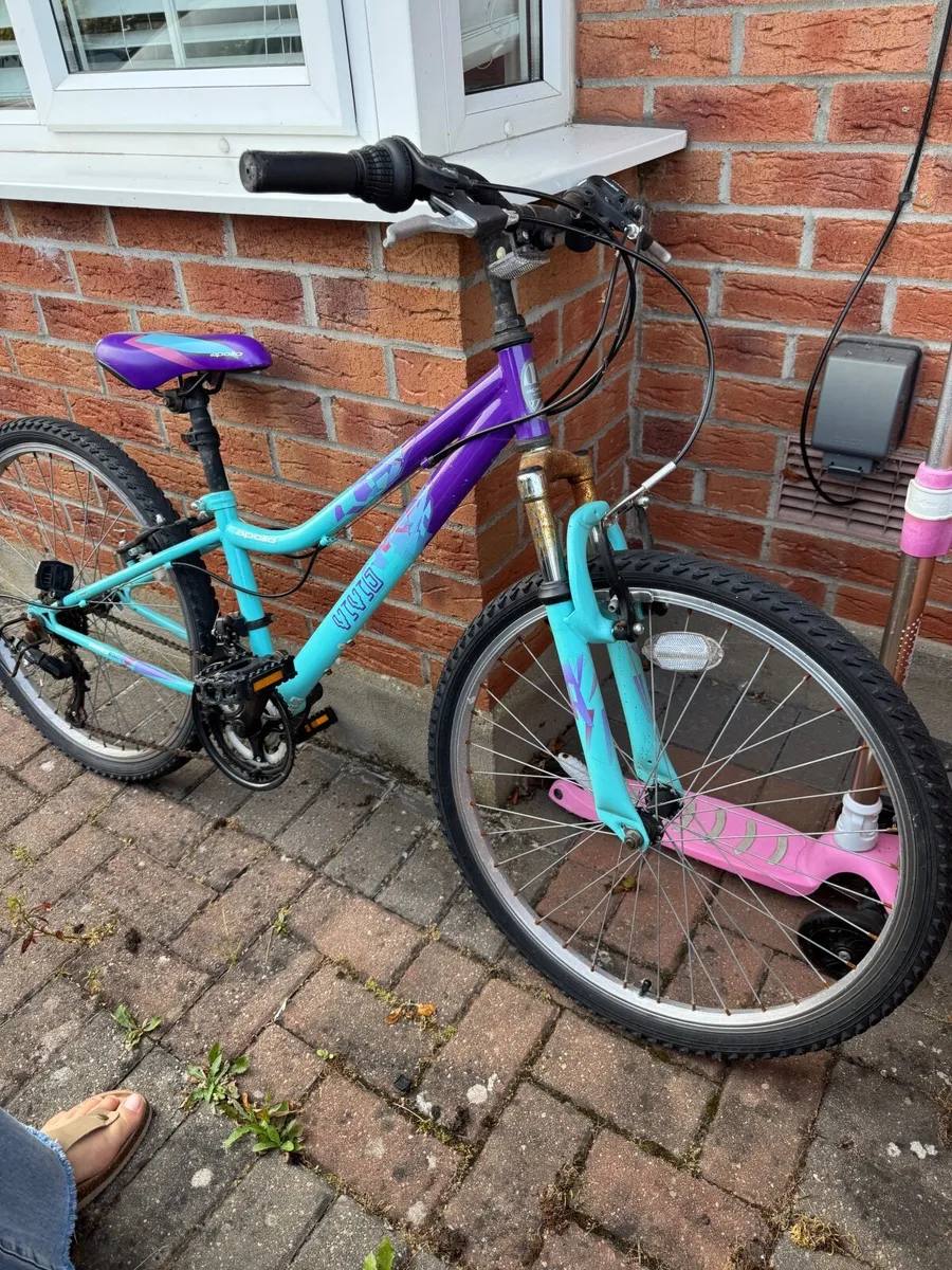 Bike - Image 2