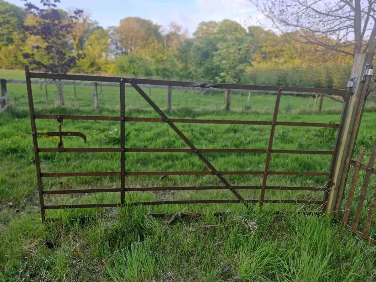 Old farm gates - Image 1