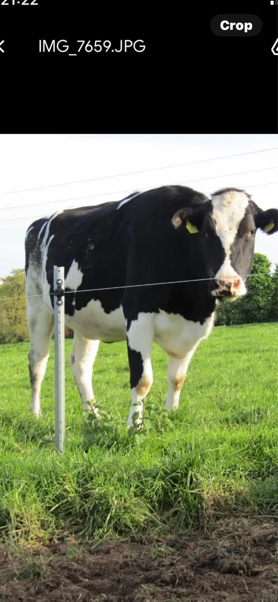 Versalock posts - Image 2