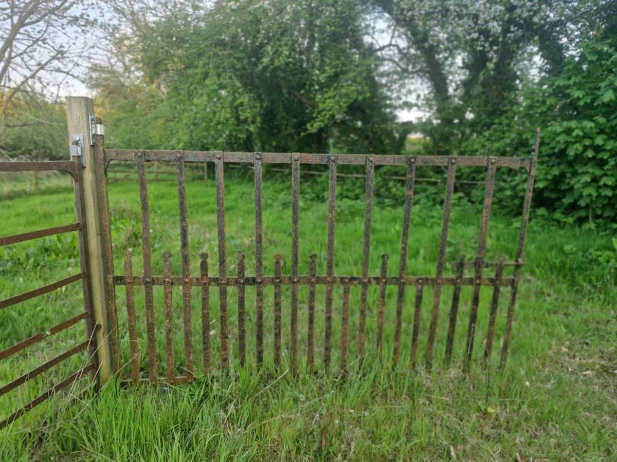 Old farm gates - Image 2