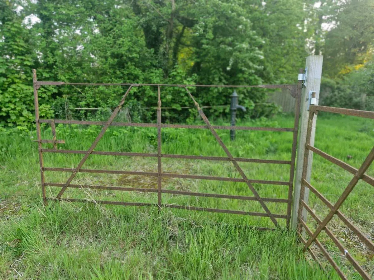 Old farm gates - Image 4