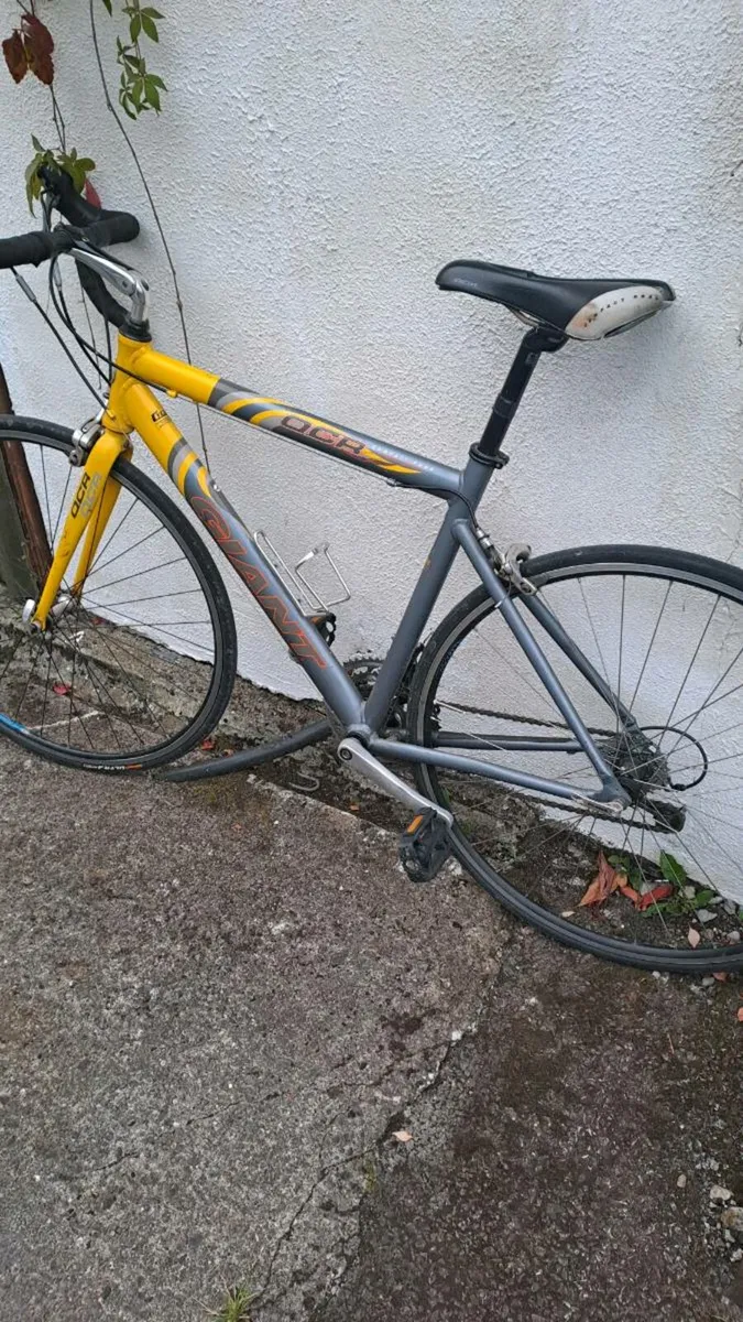 Racer bike for sale - Image 2