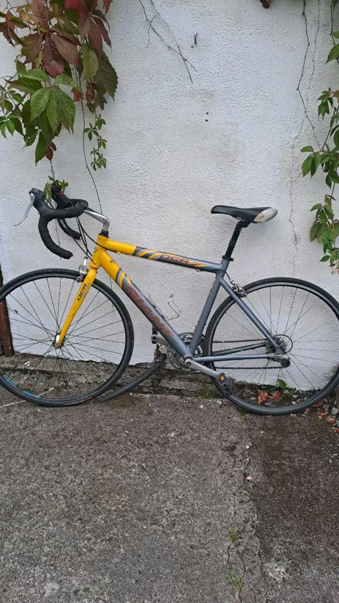 Racer bike for sale - Image 1