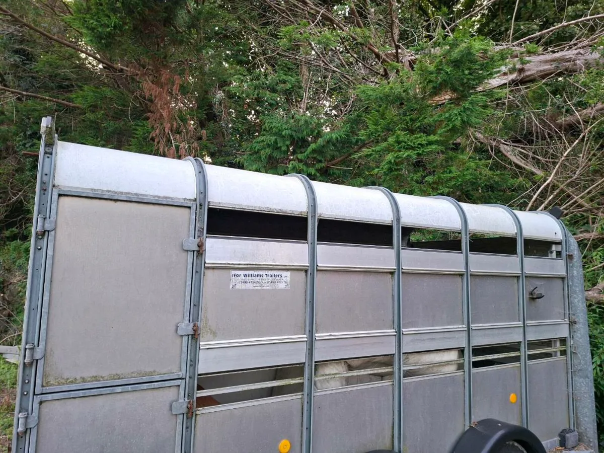 Cattle trailer - Image 2