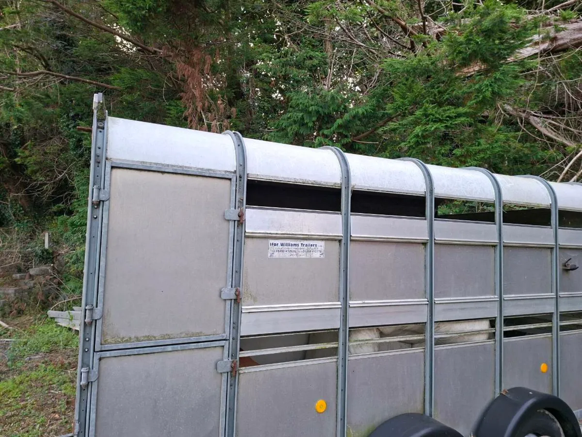 Cattle trailer - Image 3