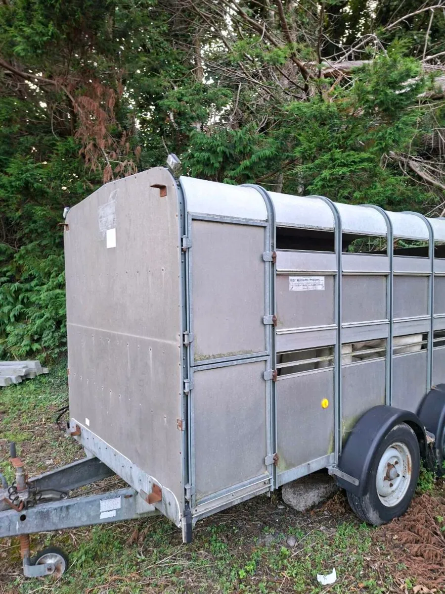 Cattle trailer - Image 4