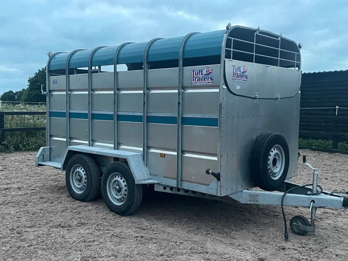 2023 Tuffmac Cattle trailer - Image 1