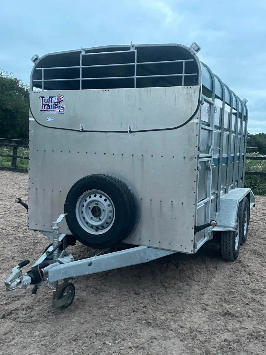 2023 Tuffmac Cattle trailer - Image 2