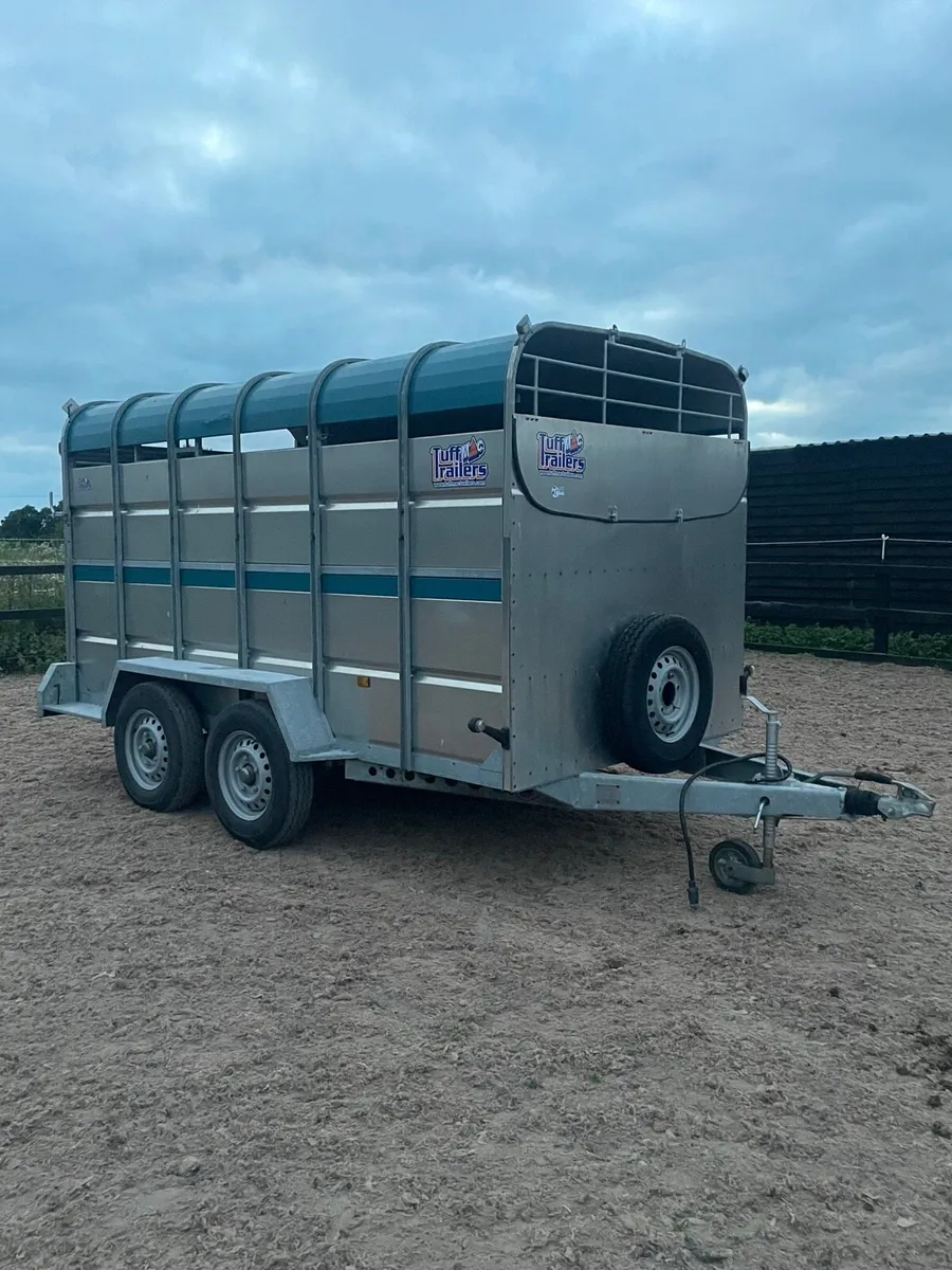 2023 Tuffmac Cattle trailer - Image 3