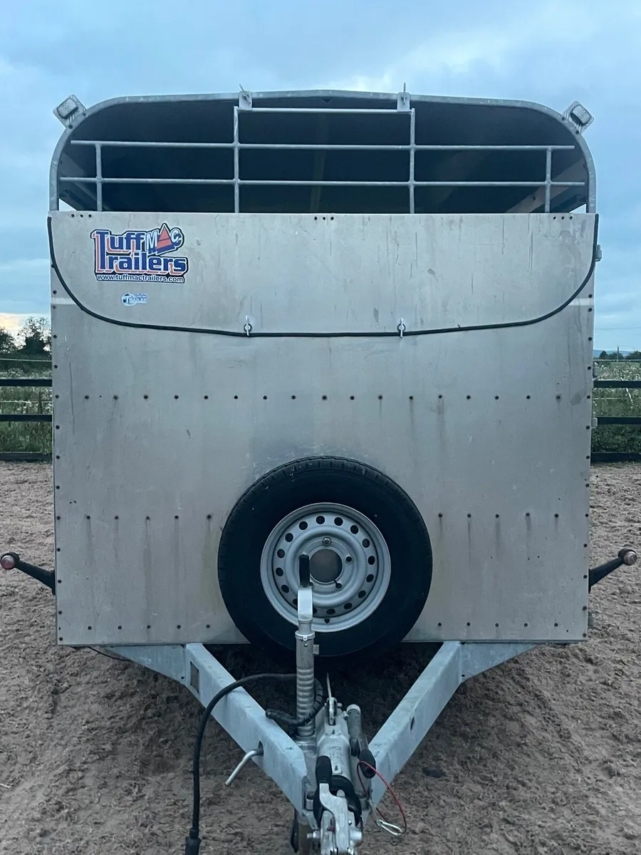 2023 Tuffmac Cattle trailer - Image 4