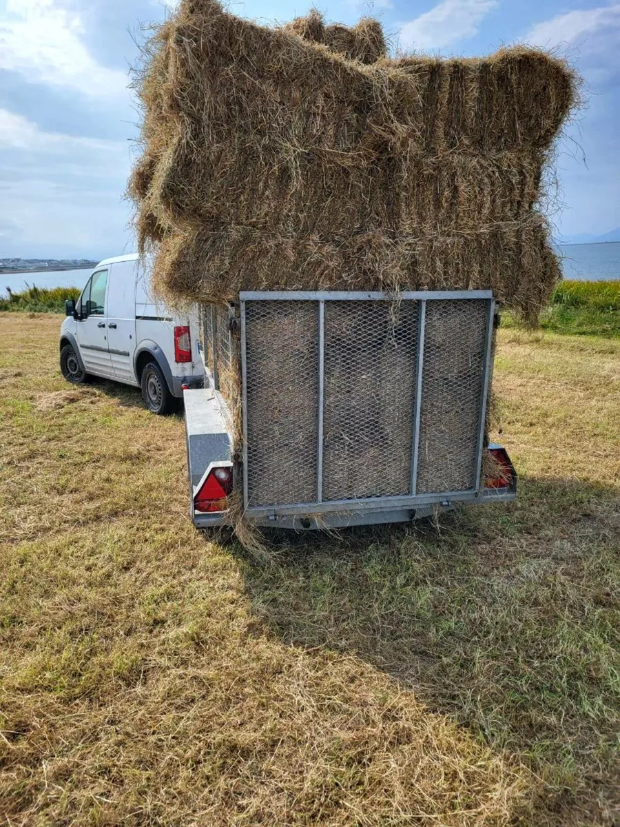 Hay for sale - Image 1