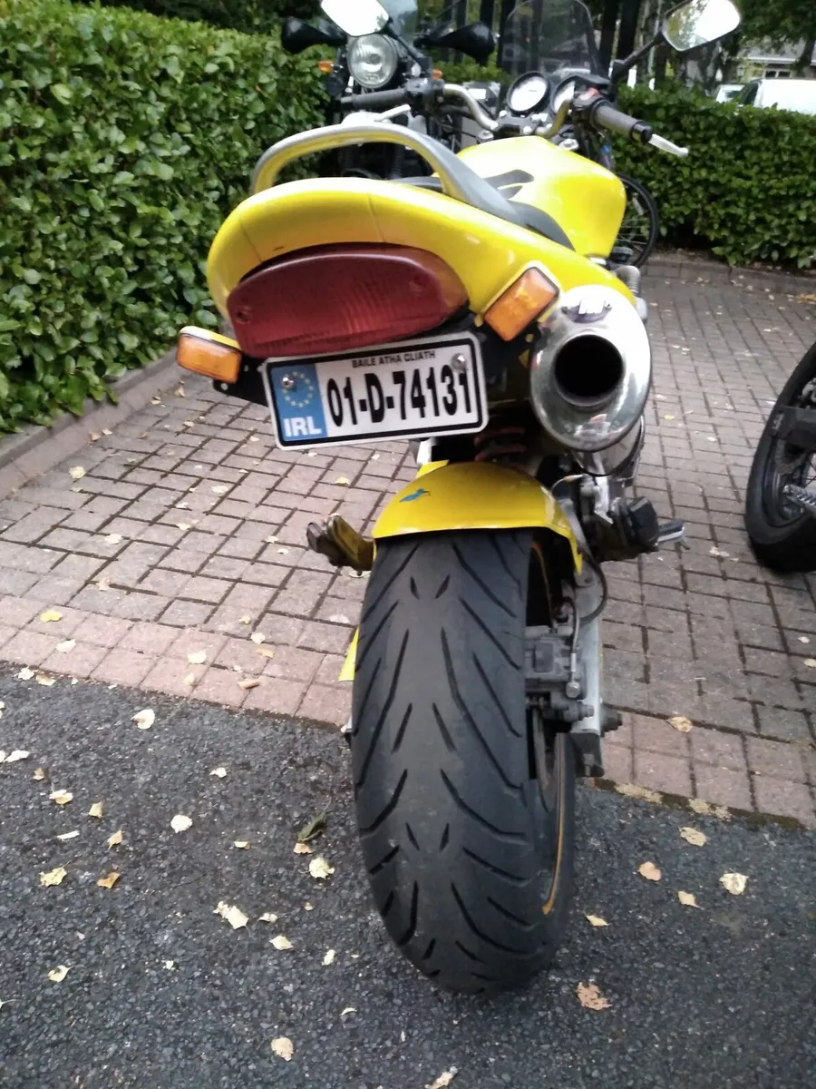 Honda Hornet - Image 4
