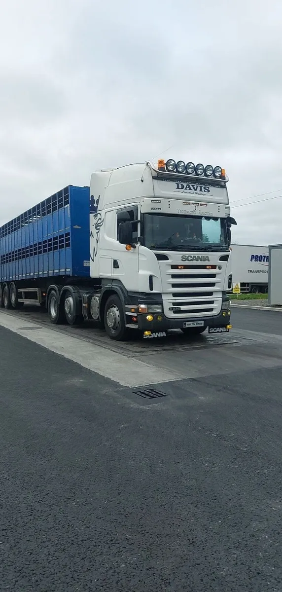 Livestock trailer - Image 3