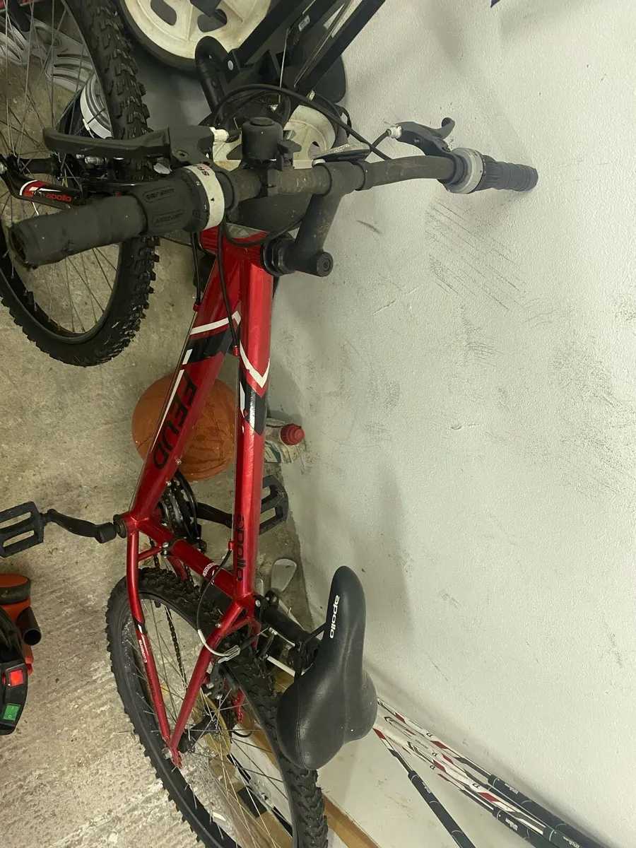 Kids mountain bike - Image 2