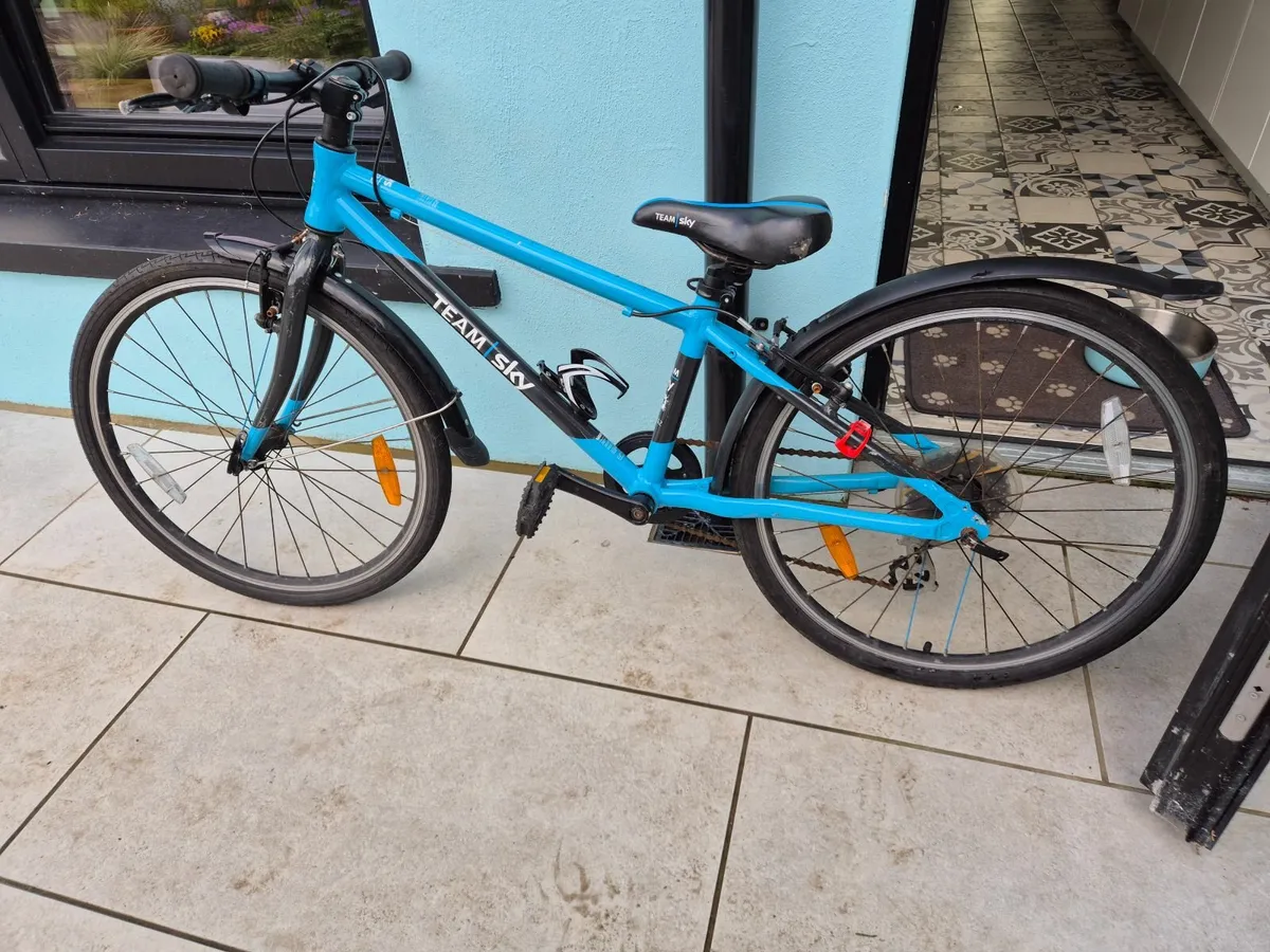 Kids Frog bike (age 7-9)