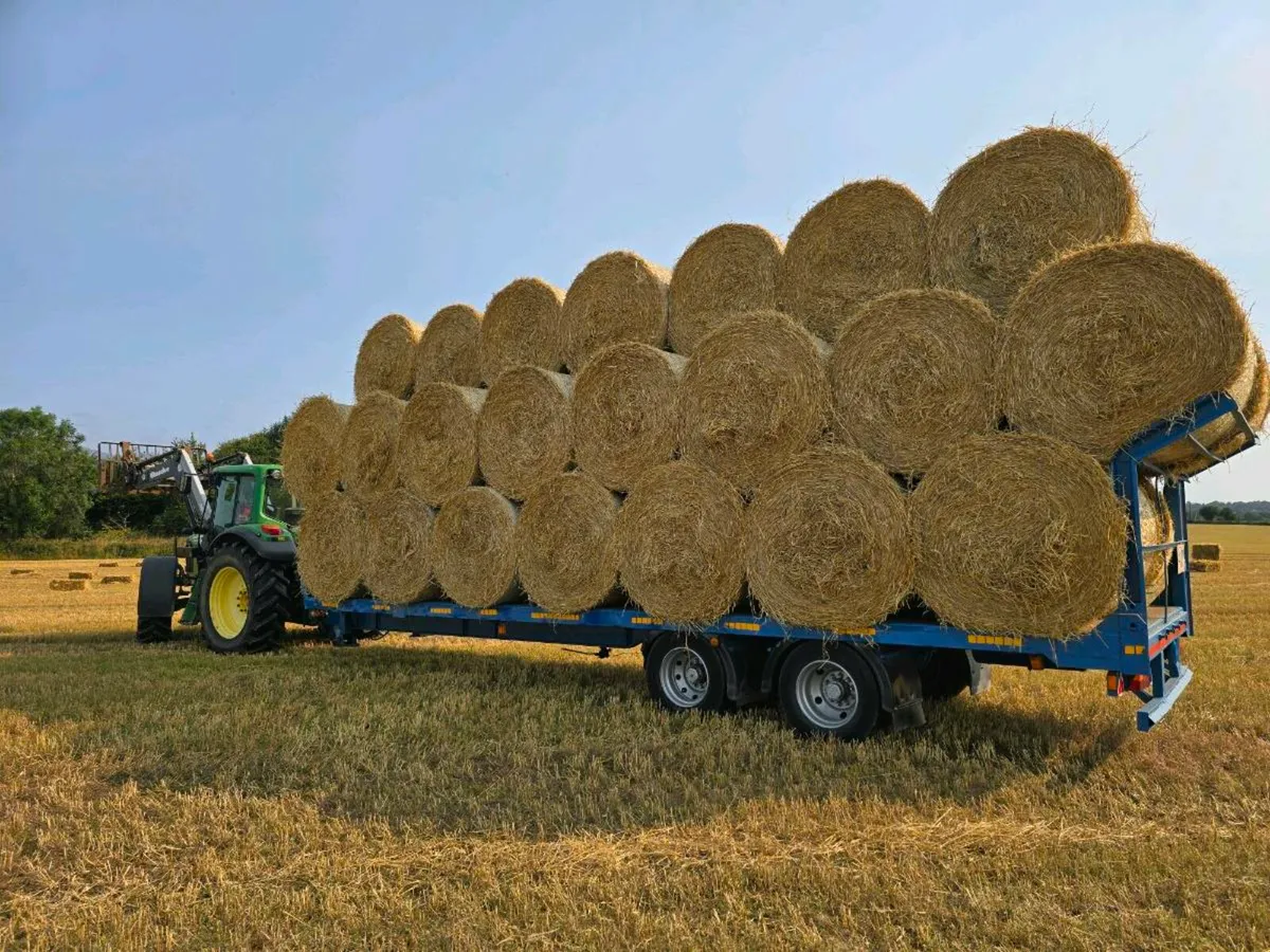 Round straw bales - Image 1