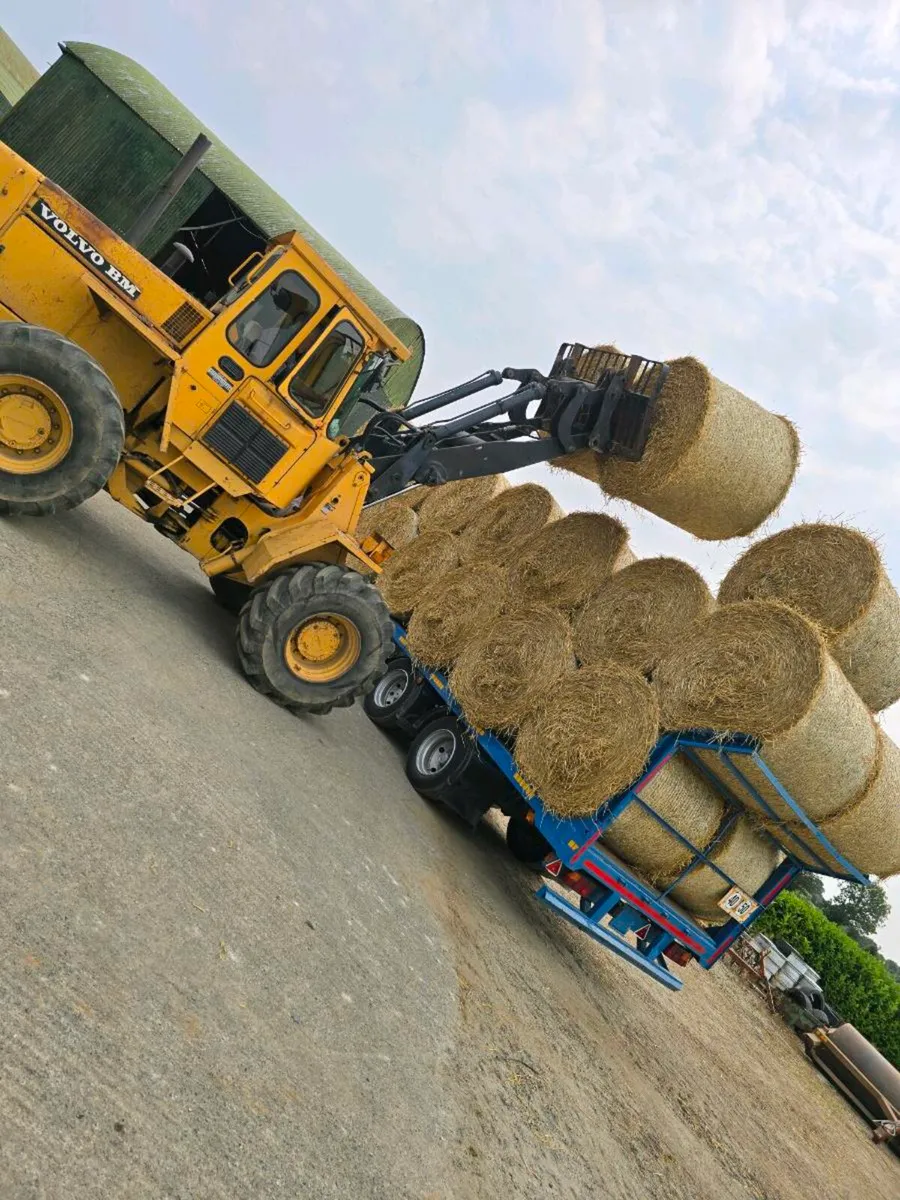 Round straw bales - Image 2