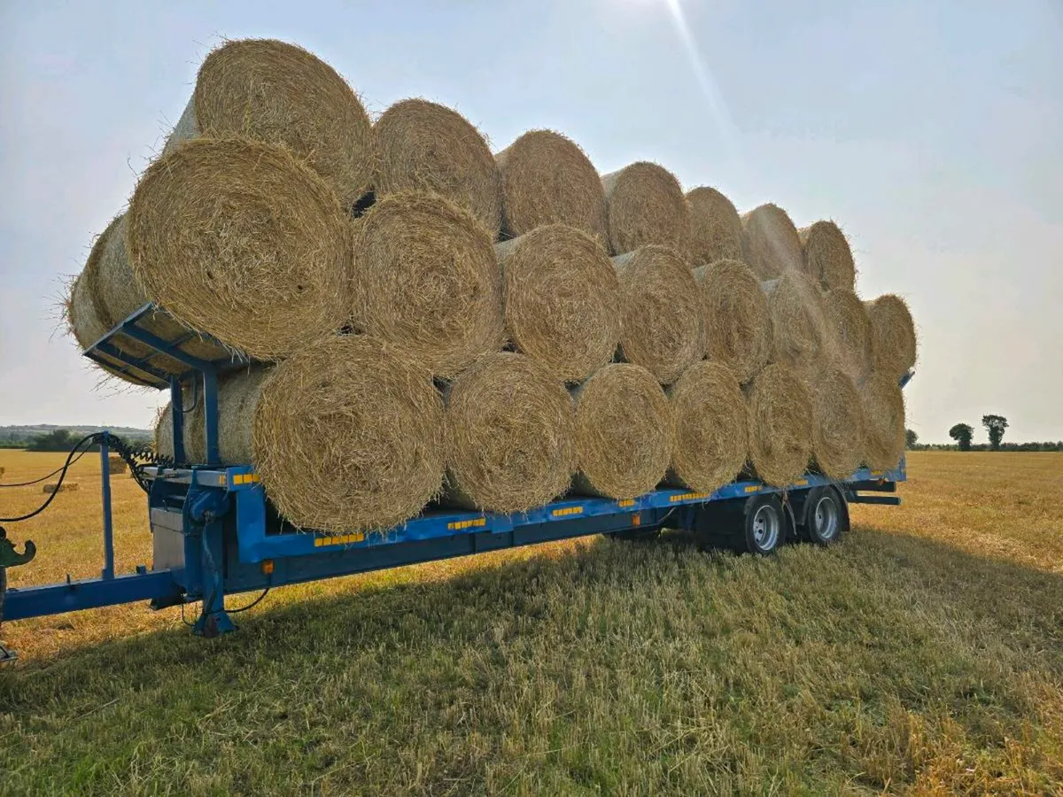 Round straw bales - Image 4