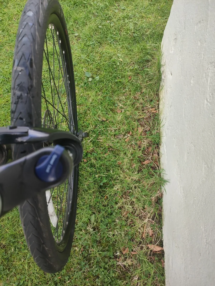 Ladies Liv Hybrid bike - Image 2