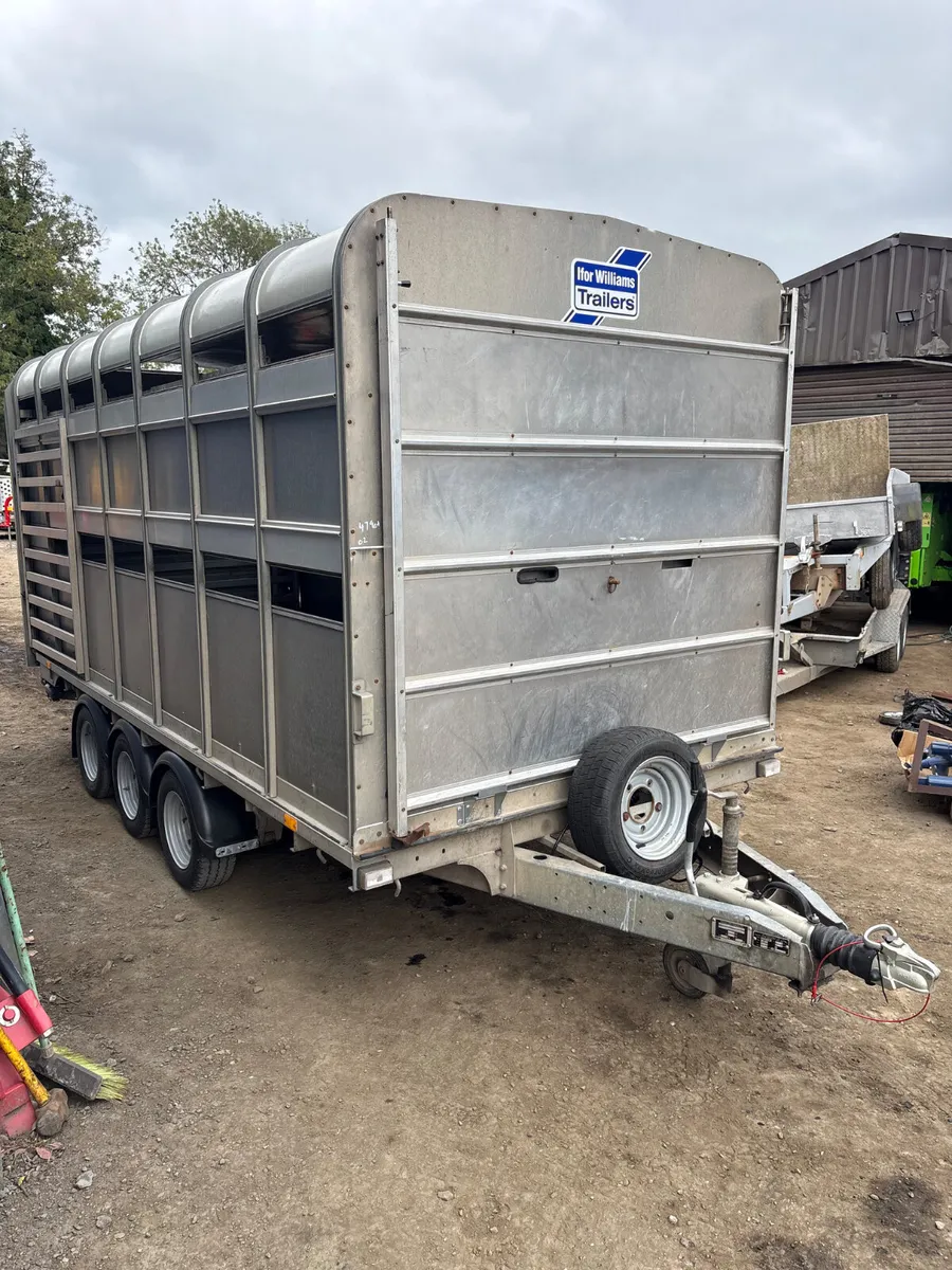Ifor Williams 14ft dp cattle trailer - Image 1
