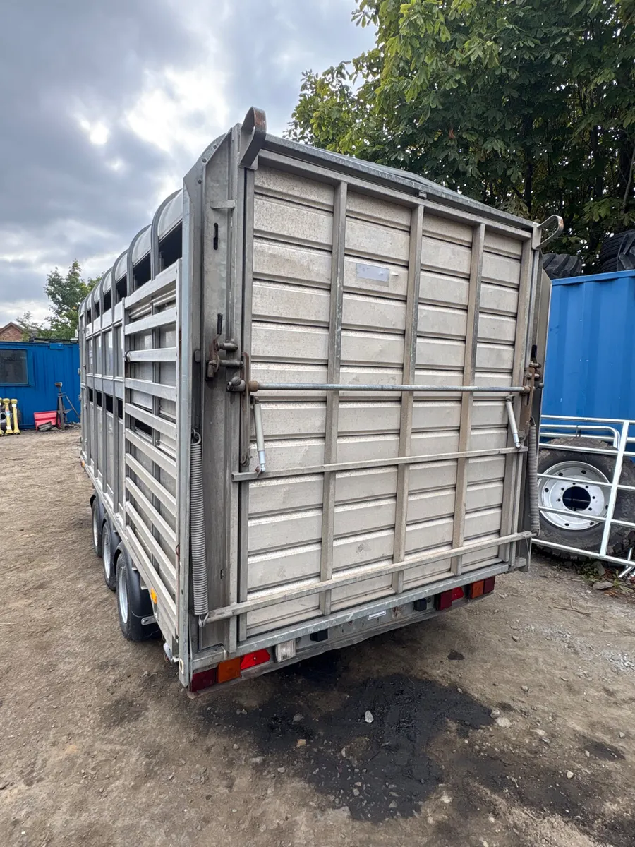 Ifor Williams 14ft dp cattle trailer - Image 2