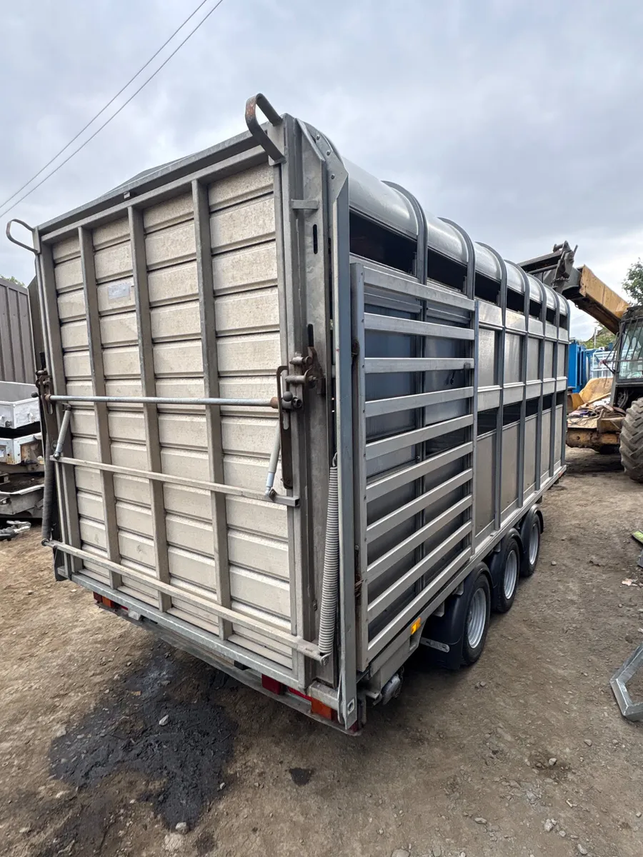 Ifor Williams 14ft dp cattle trailer - Image 3