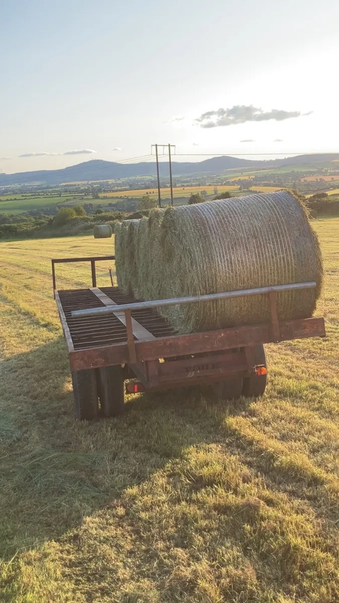 Bale trailer - Image 3