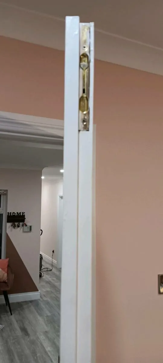 FREE DOUBLE DOORS 32 by 80 - Image 3