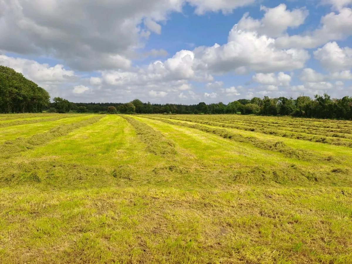 Silage & Haylage - Image 2