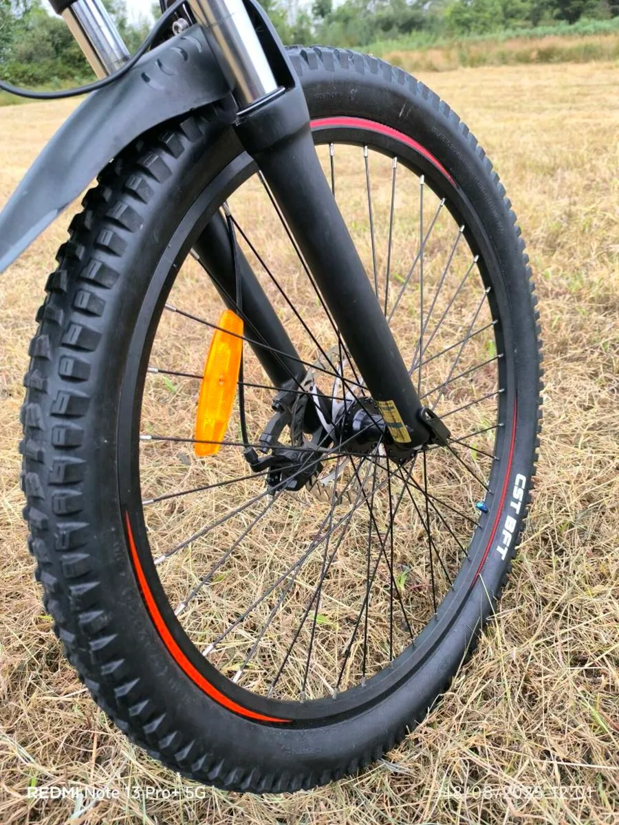 Welkin Electric Bike - Image 4