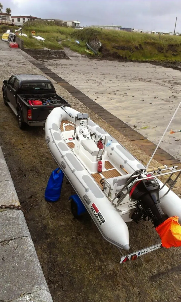 Valiant Rib, 6 mtr8 - Image 1