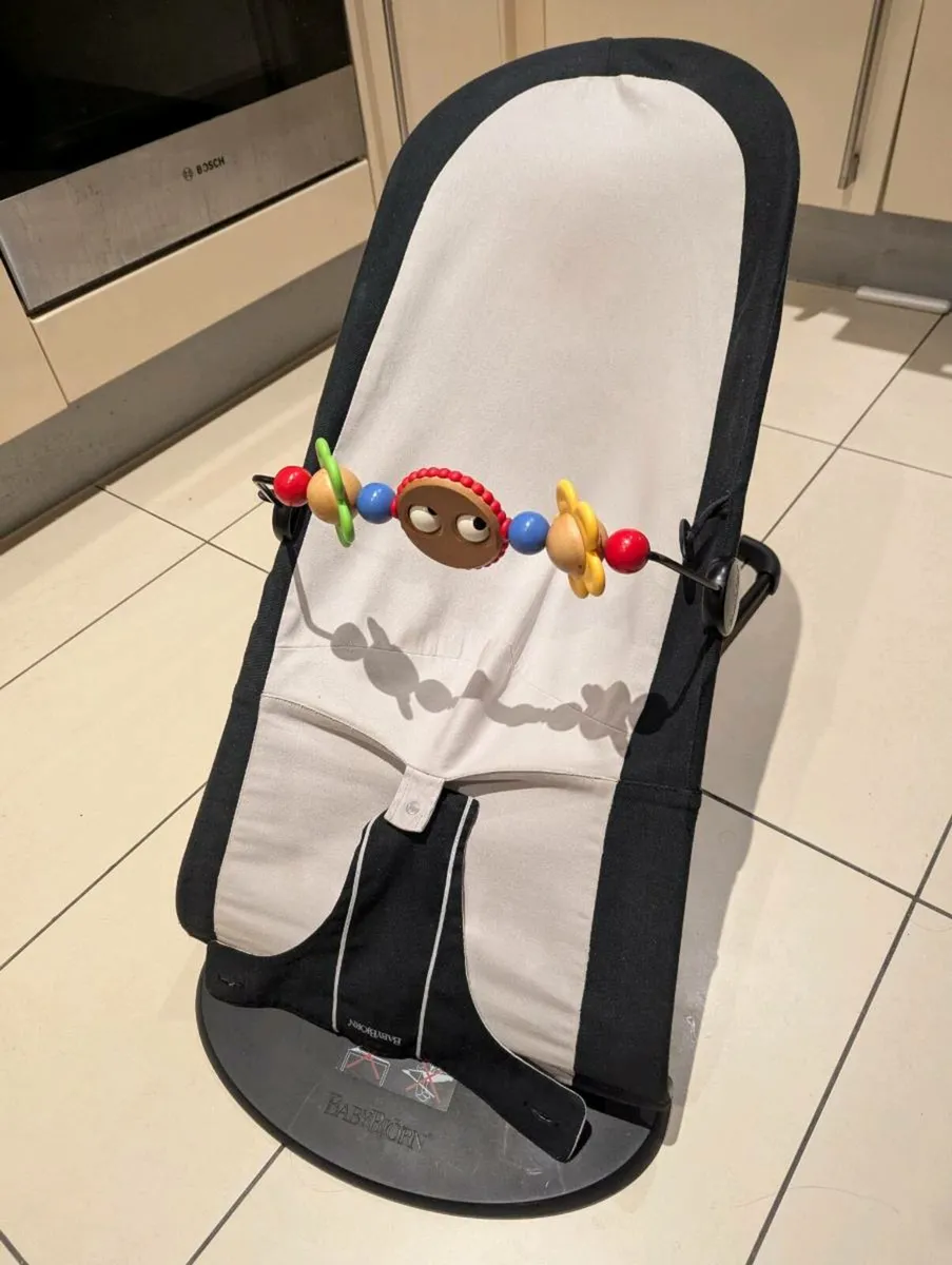 BabyBjorn Baby Bouncer - Image 1