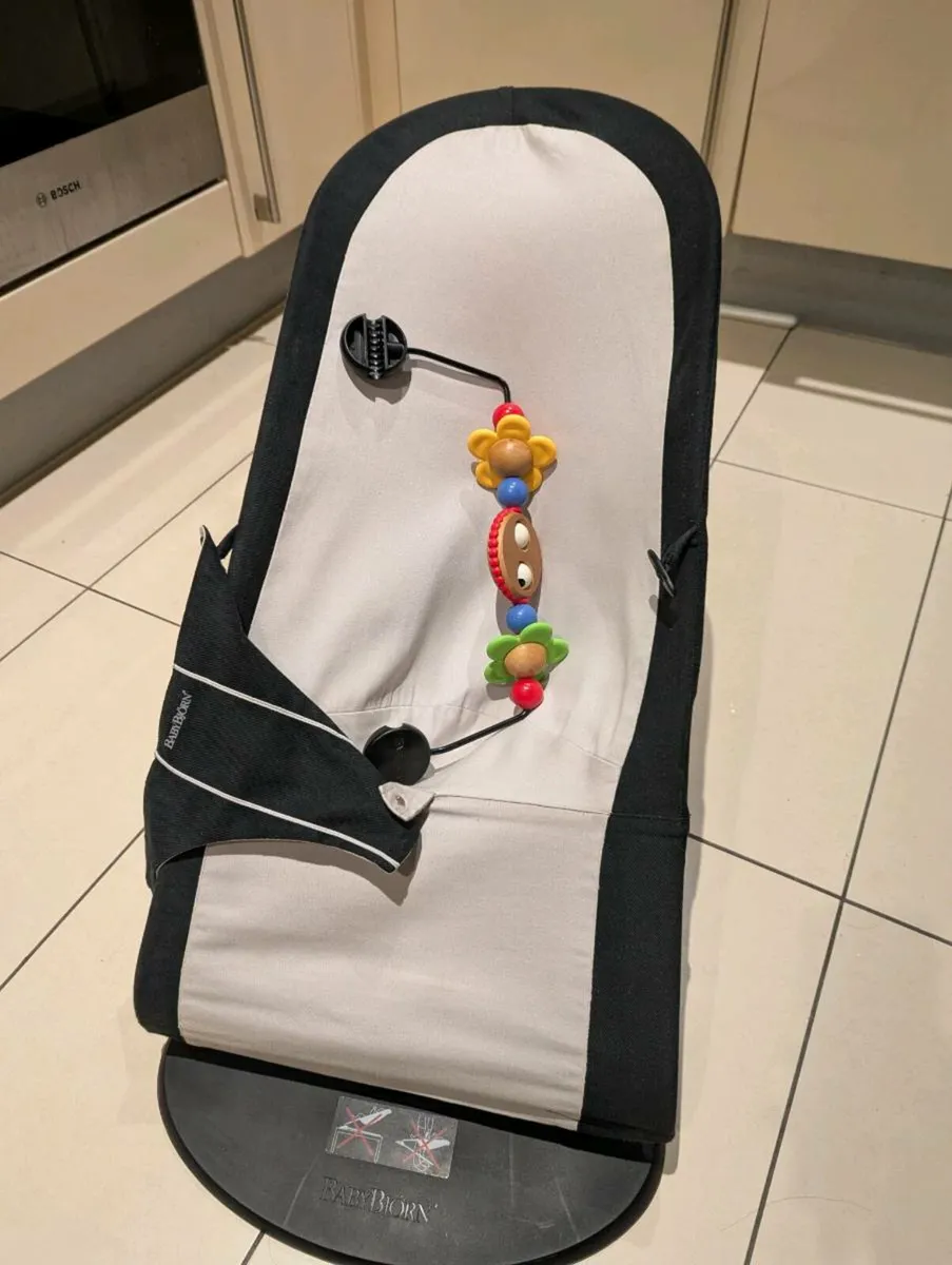 BabyBjorn Baby Bouncer - Image 2