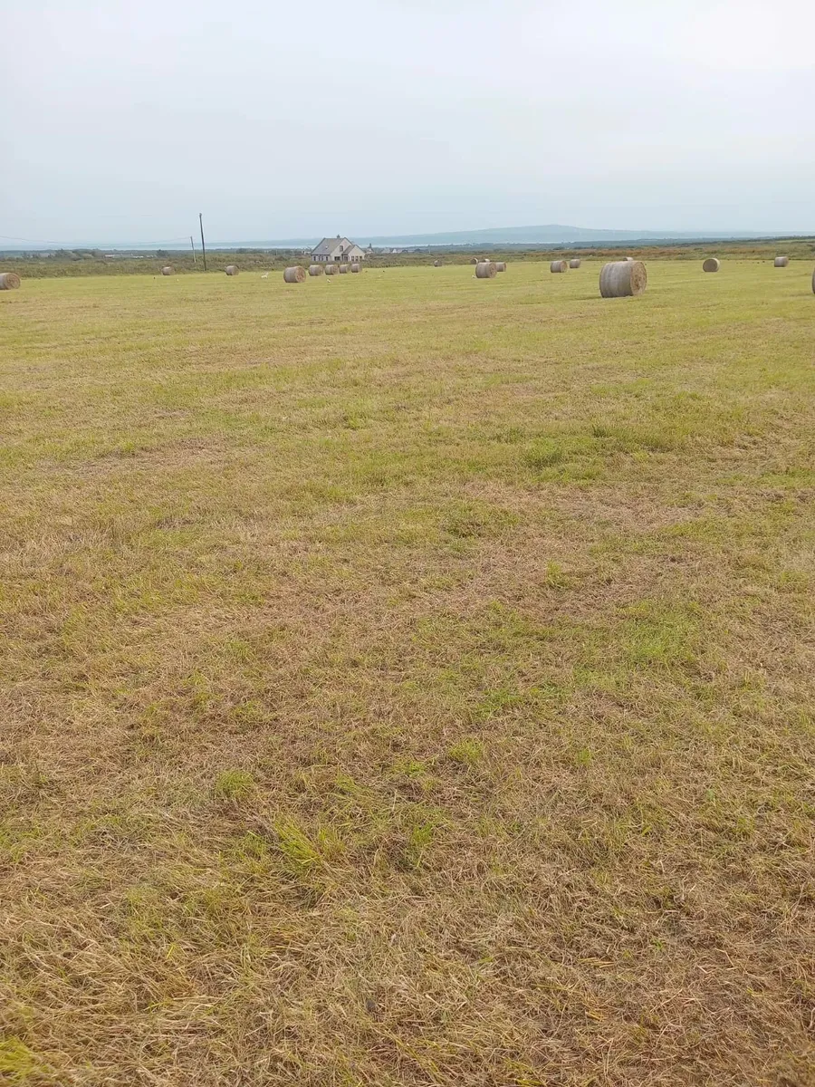 Hay bales