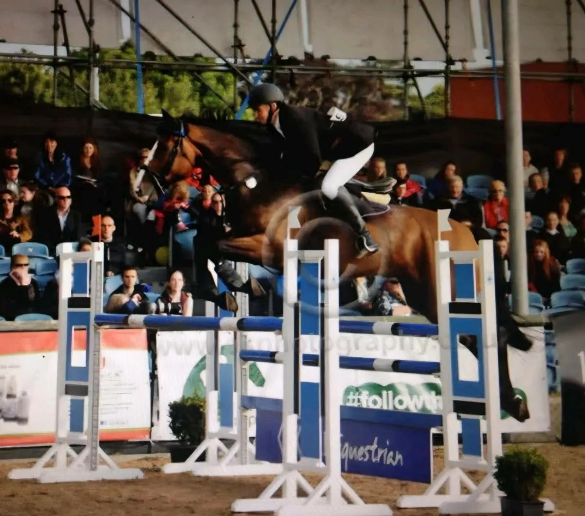 Showjumping school master - Image 3