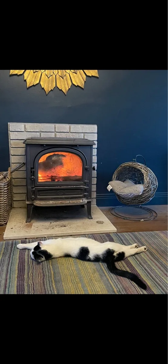 Saey wood burning stove - Image 2