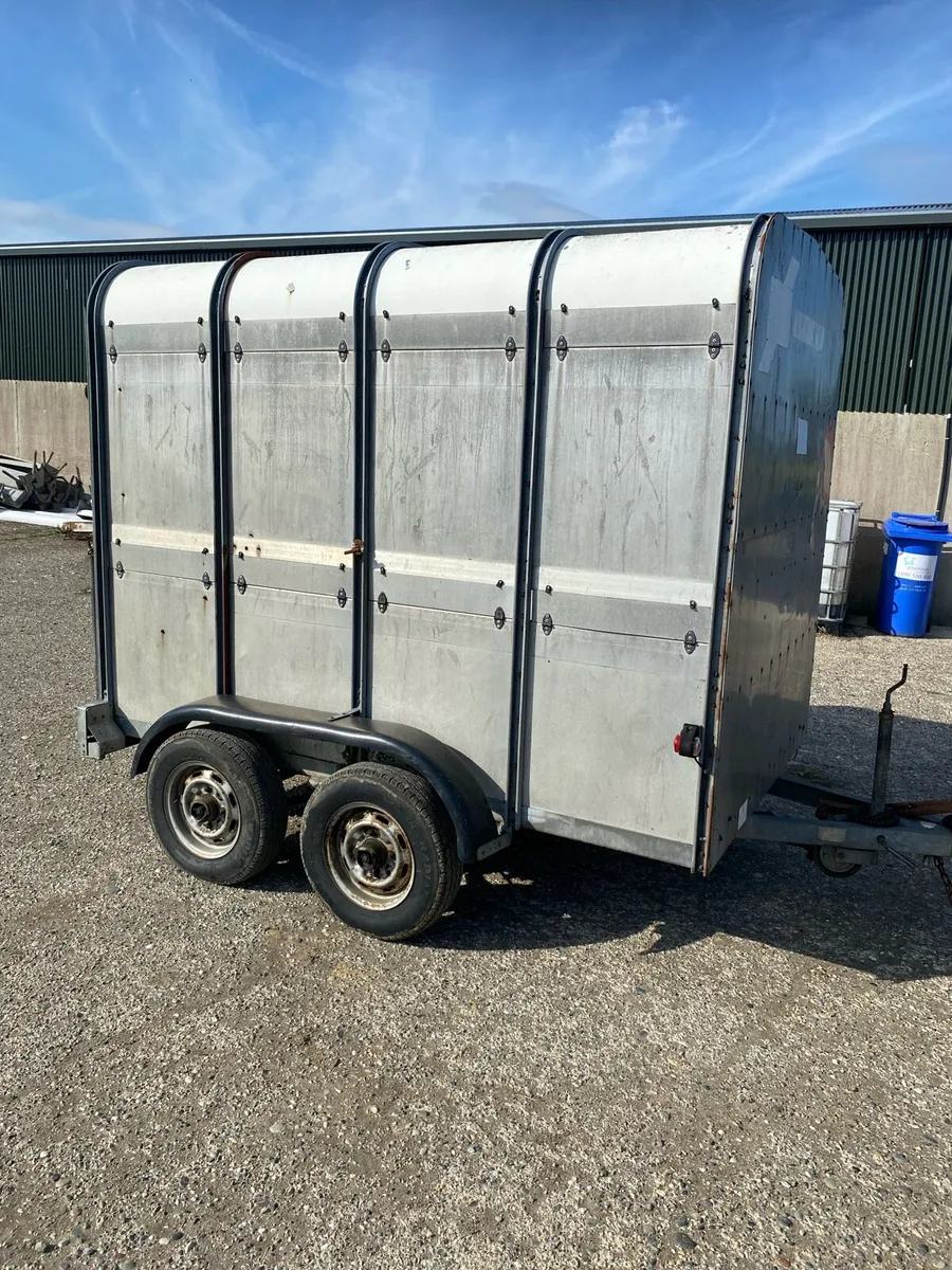 Livestock trailer 8*5 - Image 1