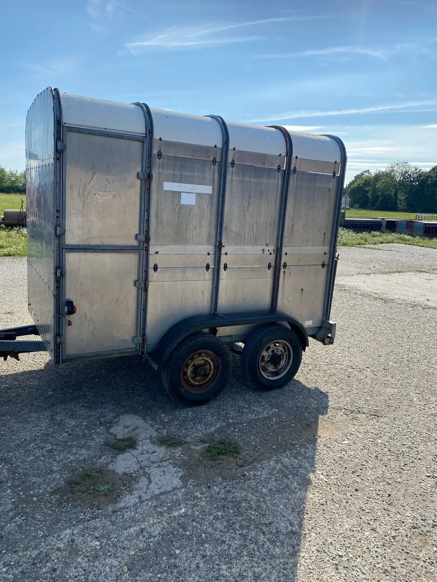 Livestock trailer 8*5 - Image 2