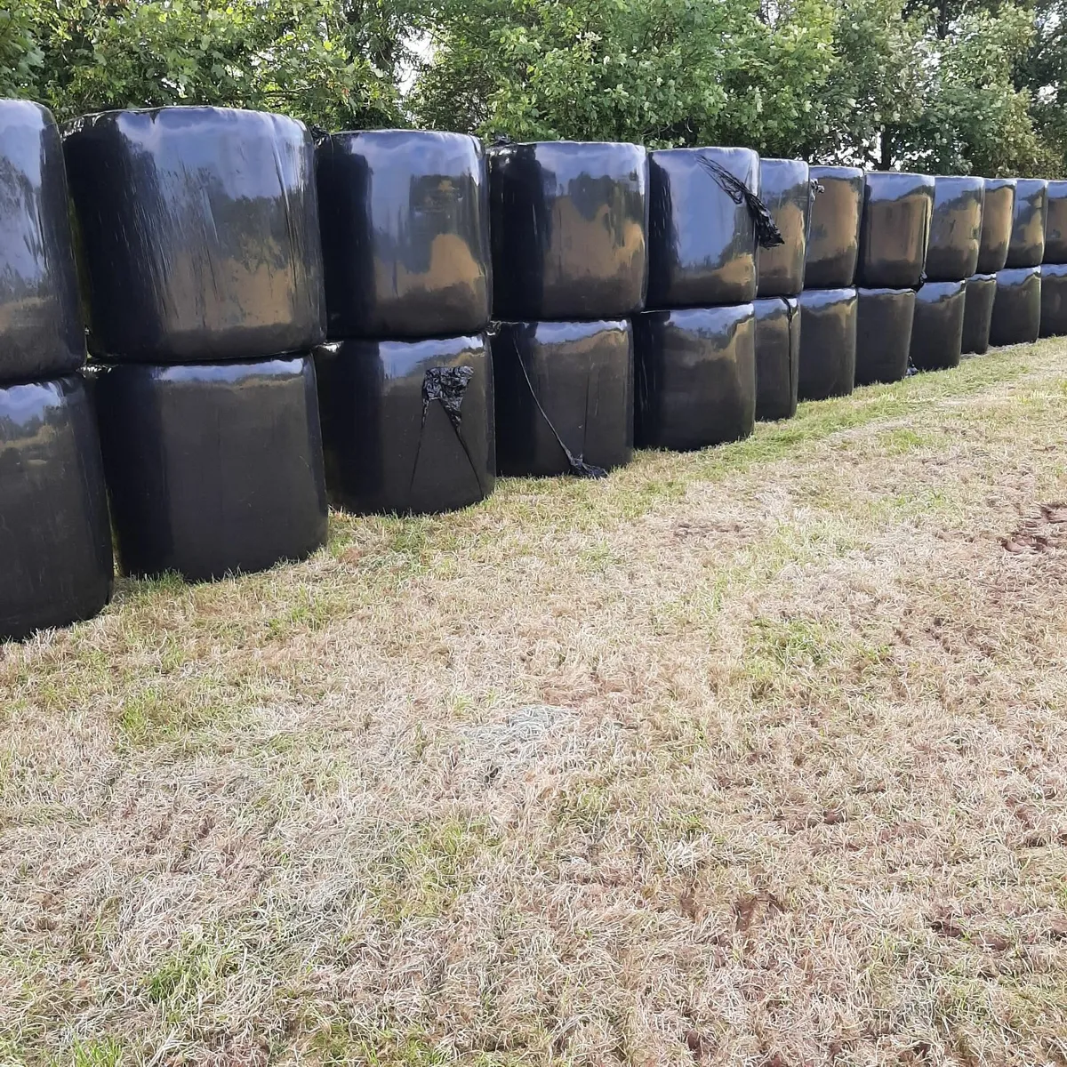 Round  Bales Haylage - Image 2