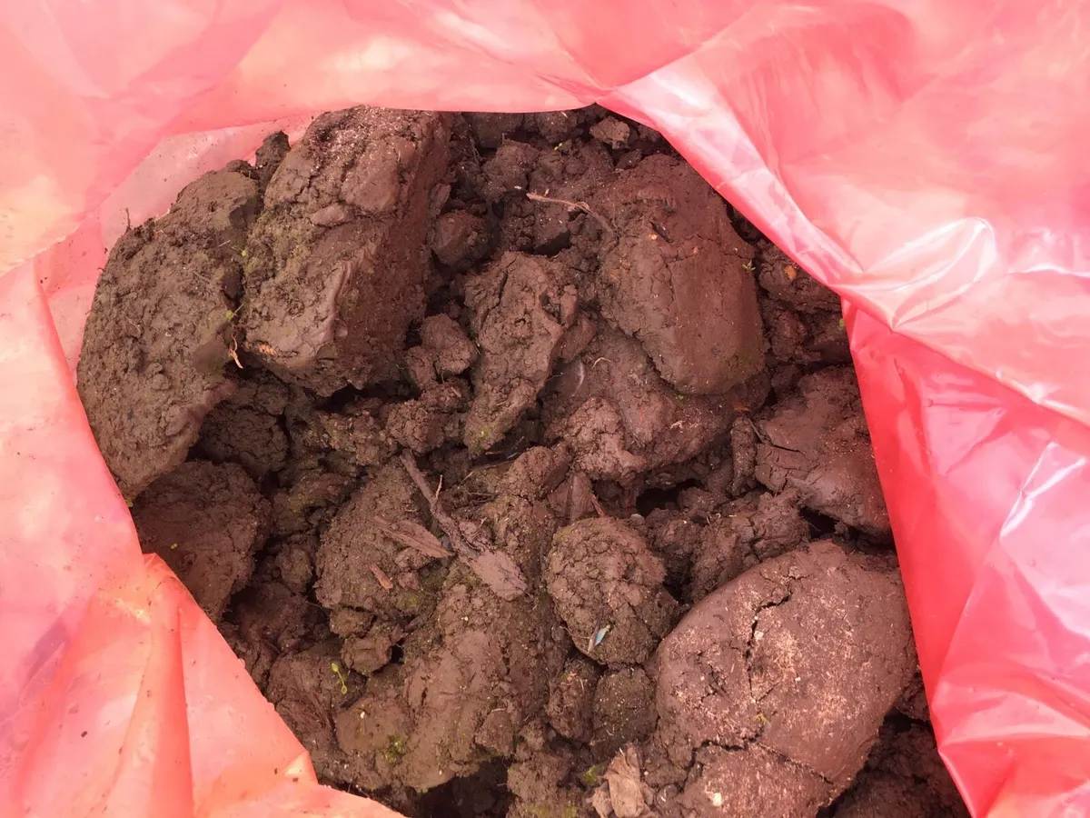 Topsoil - Image 1