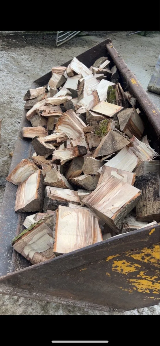 Timber - Image 2