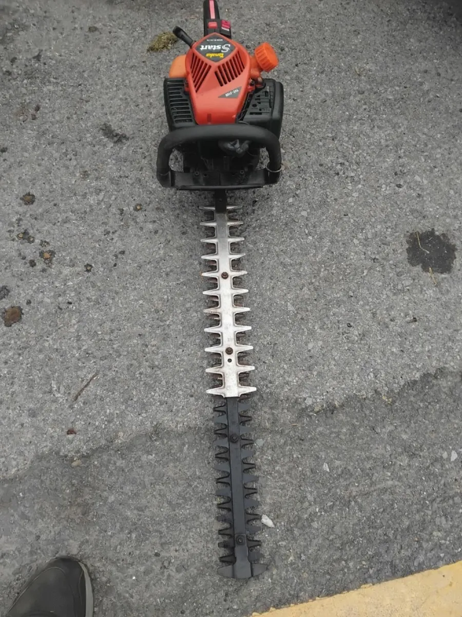 Tanaka hedge strummers running well - Image 2
