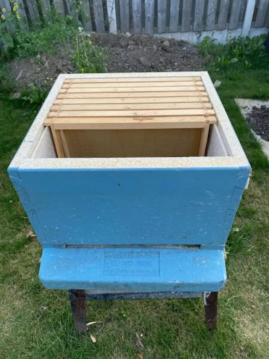 Bee equipment (used) - Image 4