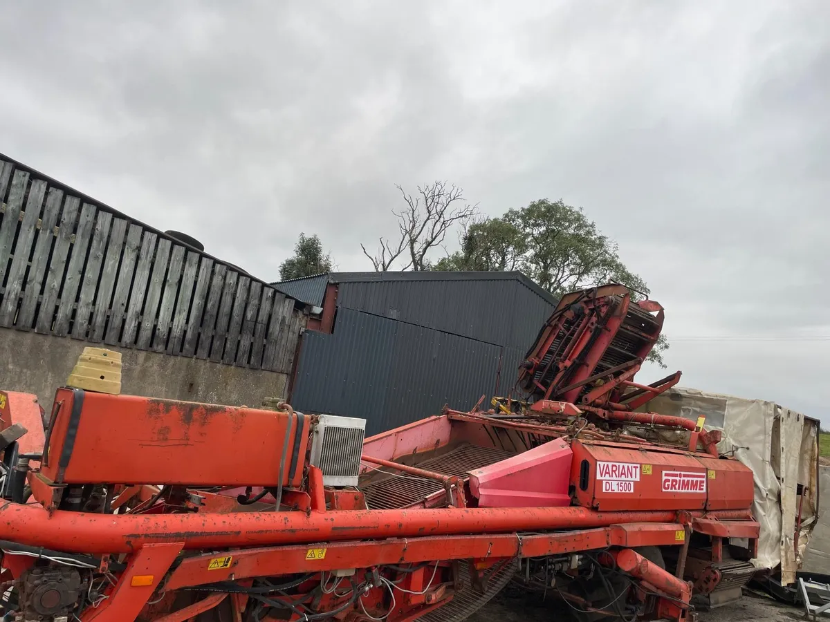 Grimme DL1500 Potato Harvester - Image 2