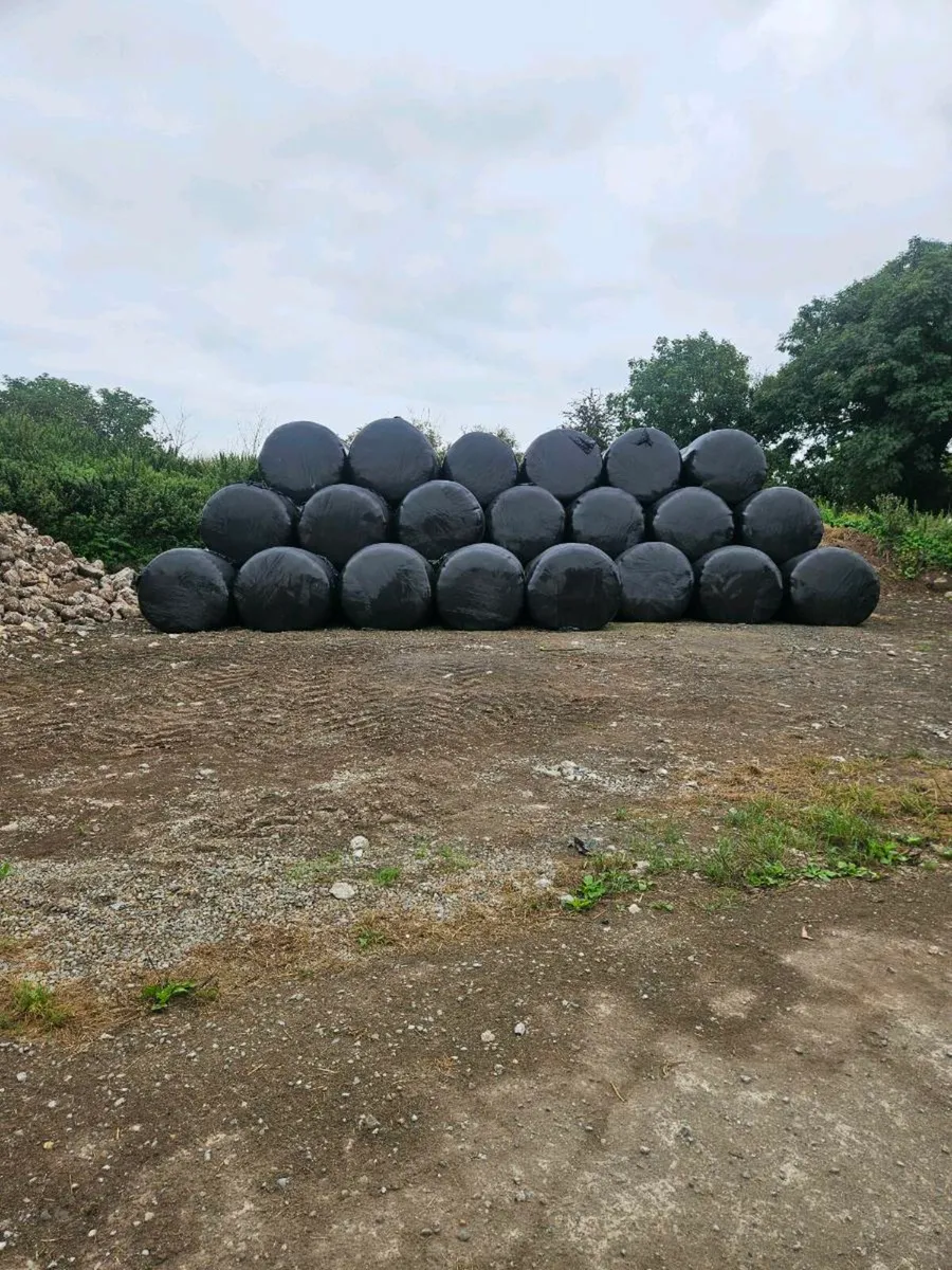 Haylage