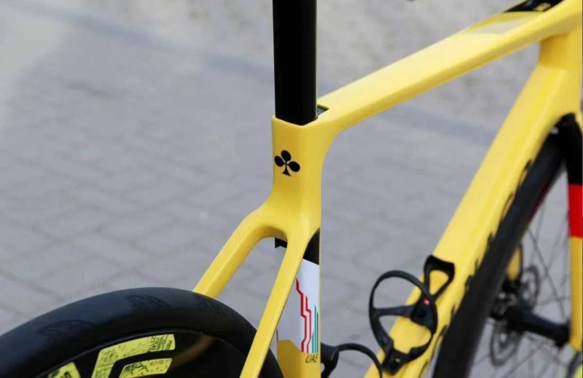 COLNAGO - Image 2