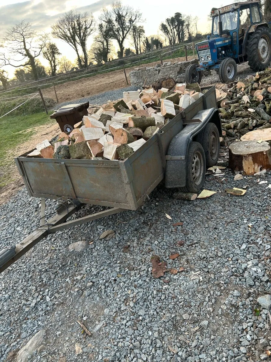 Firewood - Image 2