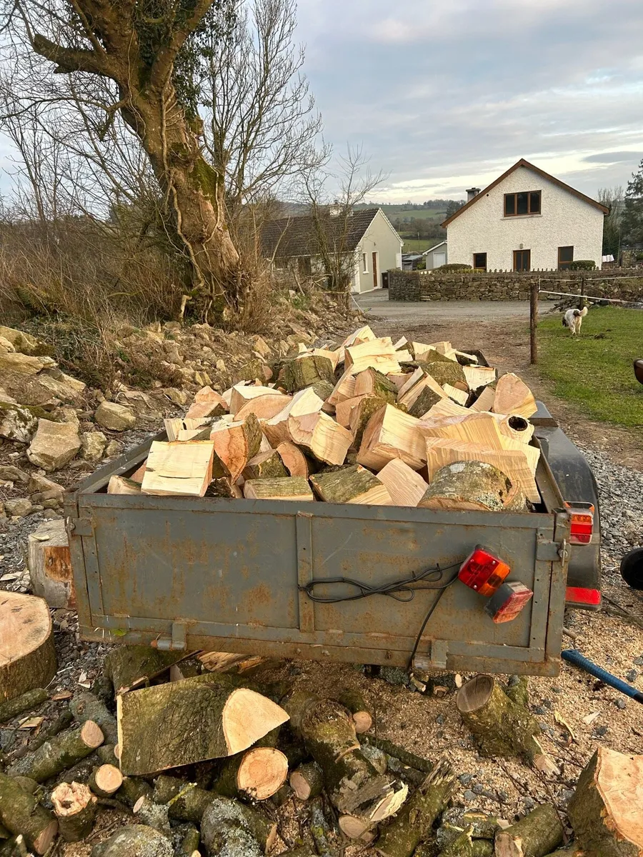 Firewood - Image 3