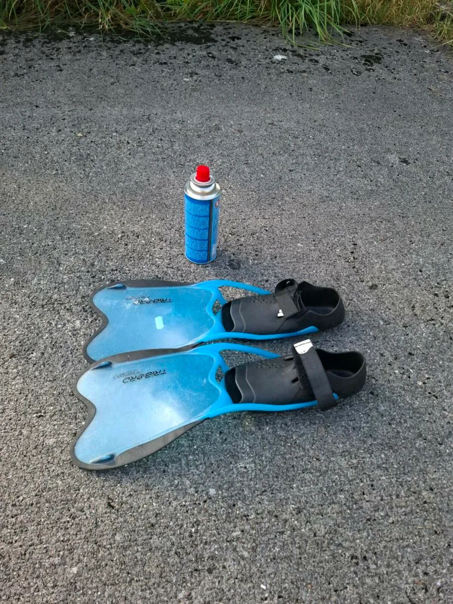 Size 3 4 flippers possible to post
